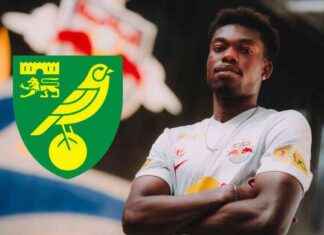 Norwich City Signs Midfielder in £4m Deal news-10082024-174802