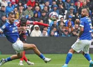Cardiff City vs Sunderland: Player Ratings and Performance Analysis news-10082024-180036