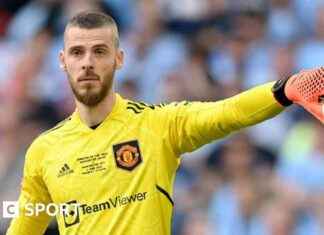 David de Gea signs for Fiorentina: Spanish goalkeeper joins Serie A club news-10082024-180536