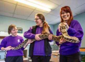 Edinburgh Rescue Center Seeks Home for Abandoned Snake Jason MaBoa – Adopt Now! news-14092024-110725