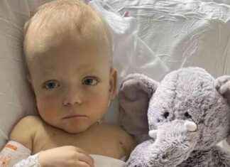 Making Every Day Special: Parents Prepare for Loss of Toddler news-15092024-050424