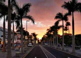 Beware of Tenerife’s ‘Dark Element’ – British Holidaymakers Warned news-26092024-123959