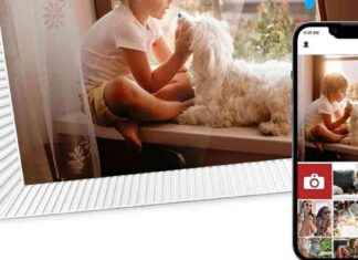 Amazon’s ‘Really Good’ Digital Photo Frame Under £50: Upgrade Your Home Today news-26092024-171010