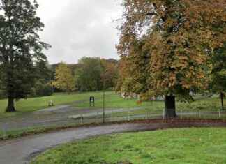 Arrested: Edinburgh Police Bust Theft Ring in Local Park news-13102024-065522