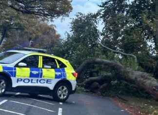 Tree falls on A705 in West Lothian, road closed with police presence news-19102024-024033
