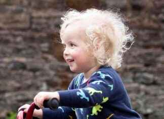 Tragic Conclusion of Edinburgh Toddler’s Fatal Accident Inquiry news-22102024-150349