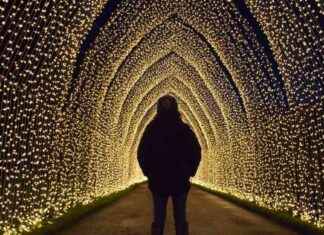 Edinburgh Christmas Lights Display Tops UK, Beats London’s Oxford Street news-23102024-211630