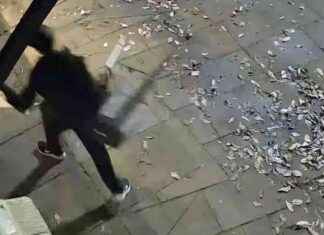 Vandal Caught on Camera Smashing Glass Window at Edinburgh Pub news-31102024-073350
