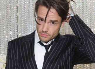 Zayn Malik’s Sister Warns Fans as Tour Postponed Following Liam’s Death news-17112024-102519