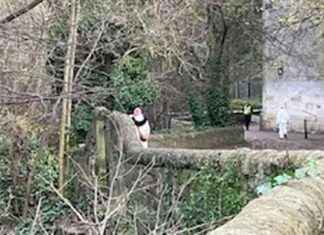 Mystery Death Investigation at Edinburgh Beauty Spot: Body Found news-22112024-141528