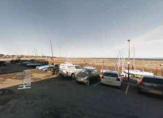Man Attacks Seals at East Lothian Harbour: Police Investigation underway news-30112024-121214