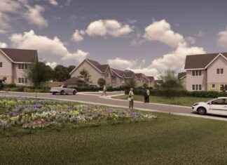 Eco-Friendly Homes for Rent in West Lothian’s New Estate eco-friendly-homes-for-rent-in-west-lothians-new-estate