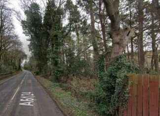 Assessment: Proposed Timber Fence in East Lothian Woodland Deemed Harmfully Intrusive assessment-proposed-timber-fence-in-east-lothian-woodland-deemed-harmfully-ntrusive