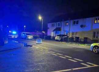 Elderly Woman Hospitalized After Car Crash on Niddrie Street elderly-woman-hospitalized-after-car-crash-on-niddrie-street