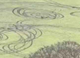 Quad Bike Damage in Edinburgh Meadows Captured by Resident quad-bike-damage-in-edinburgh-meadows-captured-by-resident