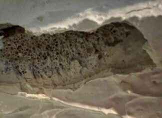 Edinburgh Council to Purchase 17 Flats Due to Concrete Damage edinburgh-council-to-purchase-17-flats-due-to-concrete-damage