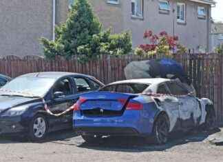 Edinburgh Gang War: Torched Car Linked to Machete Attack at Daniel Clan Garage edinburgh-gang-war-torched-car-linked-to-machete-attack-at-daniel-clan-garage