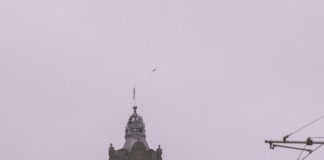 Apex Grassmarket Hotel Edinburgh UK: Why Stay At This Iconic Gem?