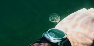 Current Time In Edinburgh: Discover Why It’s Perfect For Your Visit