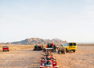 Car Rental Companies Edinburgh: Which Offers The Best Deals Today?