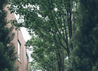 Novotel Edinburgh Park Restaurant: Discover Exceptional Dining Delights