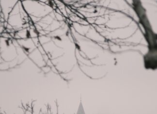 Apex City Of Edinburgh: Discover Hidden Gems & Unforgettable Views