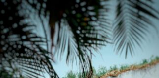 Holiday Inn Express Edinburgh Royal Mile An IHG Hotel: Why Stay Here?