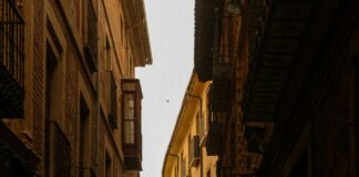 Rabbies Tours Edinburgh: Discover Hidden Gems on an Unforgettable Journey