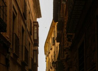 Rabbies Tours Edinburgh: Discover Hidden Gems on an Unforgettable Journey