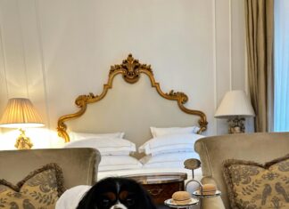 Leonardo Royal Hotel Edinburgh: Discover Luxury and Unmatched Comfort