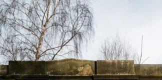 Scott Memorial Edinburgh: Discover The Untold Stories Behind It