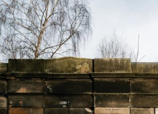 Scott Memorial Edinburgh: Discover The Untold Stories Behind It