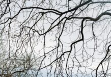 Ibis Budget Edinburgh Park: Why This Affordable Stay Is Unmissable