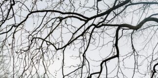 Ibis Budget Edinburgh Park: Why This Affordable Stay Is Unmissable