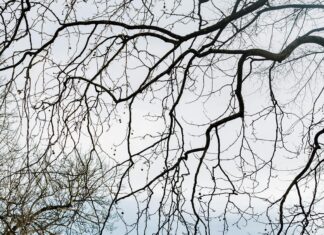 Ibis Budget Edinburgh Park: Why This Affordable Stay Is Unmissable