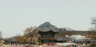 Ibis Edinburgh Centre South Bridge Royal Mile: Why Stay Here?