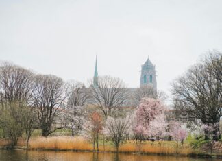 Newark To Edinburgh: Discover The Most Scenic Travel Routes Today