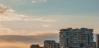 Islander Edinburgh Secrets: Why Locals Love This Unique Spot