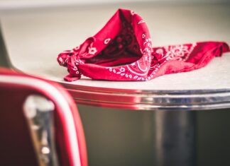 Red Knot At Edinburgh: Discover The Stunning Birdwatching Spot