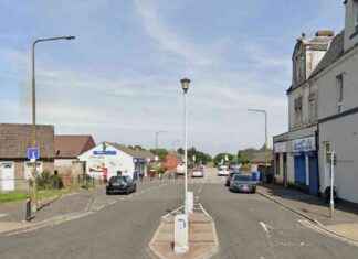 Toddler in West Lothian Bitten by Dog Outside Shop: Police Seeking Owner toddler-in-west-lothian-bitten-by-dog-outside-shop-police-seeking-owner