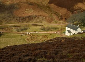 Edinburgh To Loch Ness: Uncover The Mysteries Of Scotland’s Iconic Journey