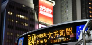 Edinburgh Bus Terminal Secrets: What Every Traveller Must Know