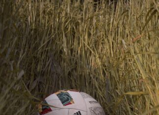 Botwell Green Sports And Leisure Centre: Why Visit This Hidden Gem?