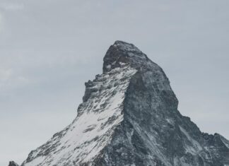 Rb Leipzig Vs Sporting Cp Stats: Revealing Shocking Match Insights