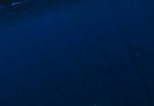 Concorde El Salam Sharm El Sheikh Sport Hotel: Ultimate Stay Guide