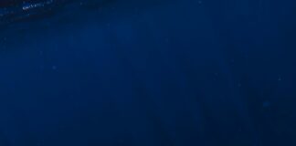 Concorde El Salam Sharm El Sheikh Sport Hotel: Ultimate Stay Guide