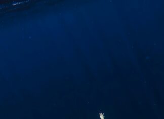 Concorde El Salam Sharm El Sheikh Sport Hotel: Ultimate Stay Guide