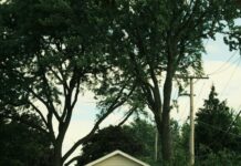 Queensbridge Sports And Community Centre: Discover Hidden Local Gems