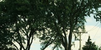 Queensbridge Sports And Community Centre: Discover Hidden Local Gems