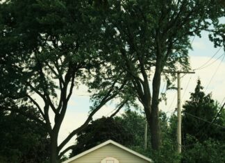 Queensbridge Sports And Community Centre: Discover Hidden Local Gems